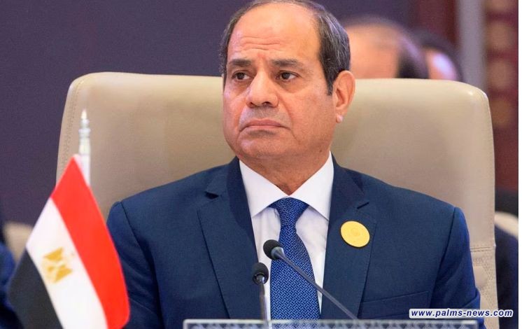 الرئيس المصري: الانفلات الإسرائيلي يتطلب منا العمل على مبادئ تعبر عن رؤيتنا المشتركة.